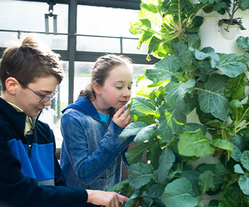 Students looking at a plant. Links to What to Give